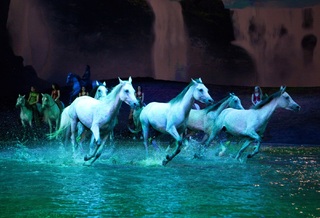 cavalia22_0.jpg